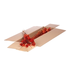 Droogbl Bewerkt H% 50cm