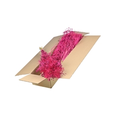 Droogbl Bewerkt H% 50cm