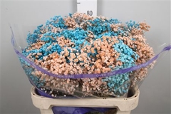 Gyps Colortreated 80cm 40gram