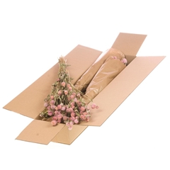 Dried Flowers 100 Gram 50cm 100gram