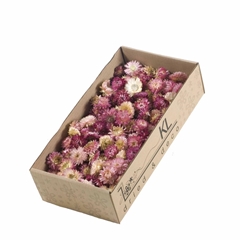 Dried Flowers 100 Gram 100gram