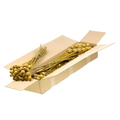 Droogbl Bewerkt H% 55cm 150gram