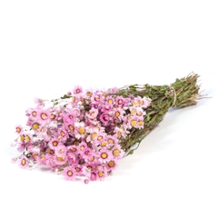 Dried Flowers 100 Gram 50cm 50gram