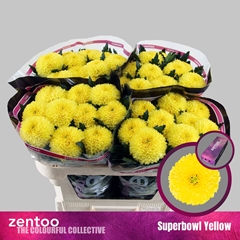 Chr G Superbowl Yell 70cm 85gram