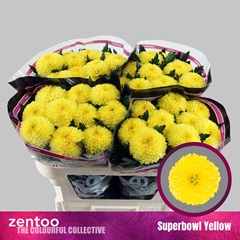 Chr G Superbowl Yell 70cm 85gram