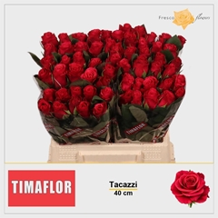 R Gr Tacazzi+