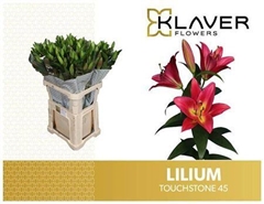 Li Ot Touchstone 90cm 45+