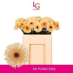 Ge Ms Punki Erik 50cm