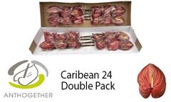 Anth A Caribean 13cm Ø