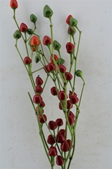 Sierpepers Tak 80cm