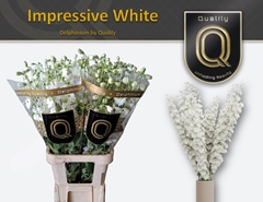 Delph El Dew Impr Wh 100cm 23