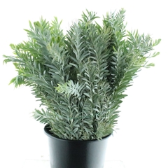 Decogroen Ov Bs 70cm 200gram