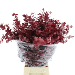 Droogbl Bewerkt H% 70cm 150gram