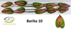 Anth A Barika 15cm Ø