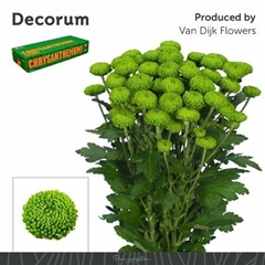 Chr T Deligreen 70cm 90gram