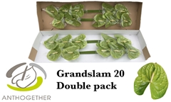 Anth A Grand Slam 15cm Ø