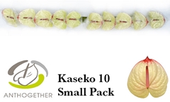 Anth A Kaseko 9cm Ø