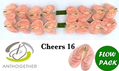Anth A Cheers 11cm Ø