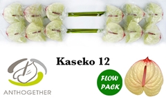 Anth A Kaseko 13cm Ø