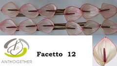 Anth A Facetto 13cm Ø