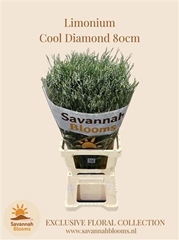 Lim Sin Cool Diamond 80cm 35gram