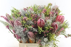 Protea Per Bunch 3 Punt 40cm 300gram
