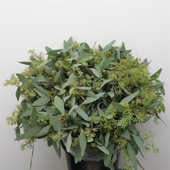 Euc Polyan Frui P Bs 55cm 200gram