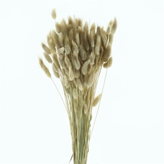 Droogbl Onbew 6% Bunch 60cm 200gram