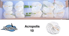 Anth A Acropolis 60cm 15cm Ø