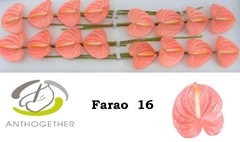 Anth A Farao 11cm Ø