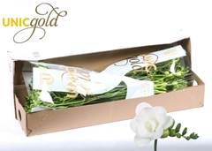 Fr Du Essence 52cm 20gram 13