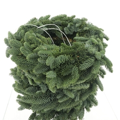 Nobilis-krans 21%