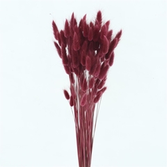 Droogbl Bewerkt H% 60cm 60gram