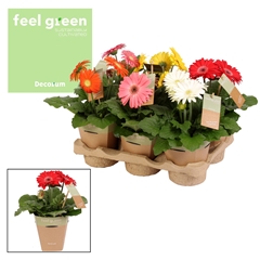 Ger Gemengd 12Ø 20cm
