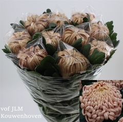 Chr G Vienna Copper 80cm 120gram