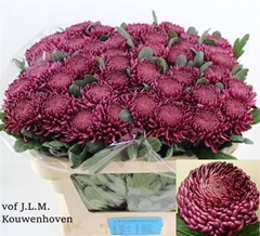 Chr G Bigoudi Purple 70cm 90gram