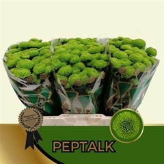 Chr S Aaa Peptalk 55cm 110g