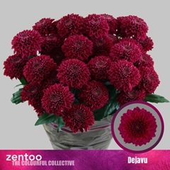 Chr T Dejavu 70cm 90gram