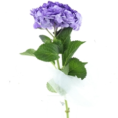 Hydr Other 60cm 19cm Ø