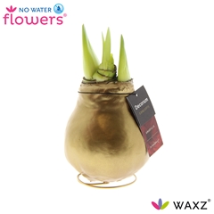Hipp Wax 15cm
