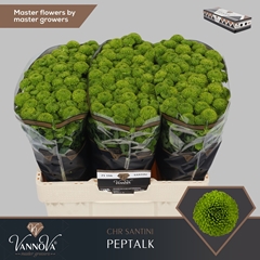 Chr S Aaa Peptalk 55cm 100g
