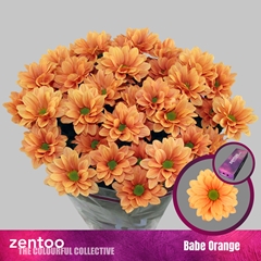 Chr T Babe Orange 65cm 85gram