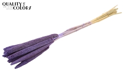 Babala Fr Milka 65cm