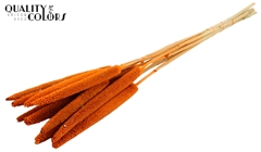 Babala Orange 65cm