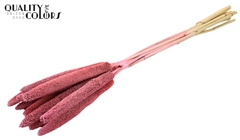 Babala Fr Pink 65cm