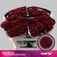 Chr G Parker Red 70cm 80gram