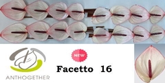 Anth A Facetto 11cm Ø