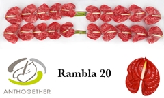 Anth A Rambla 9cm Ø