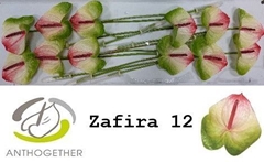 Anth A Zafira -PK- 13cm Ø