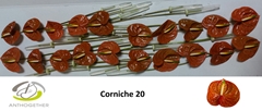 Anth A Corniche 9cm Ø